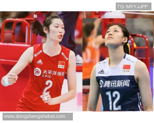 实时新闻深圳排球队实力强劲排球个人能力排行榜揭晓第二名荣誉